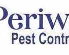 ant-control-services-in-greater-noida-expert-care