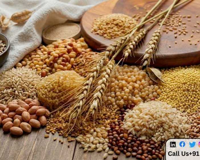 top-grains-exporter-in-india-premium-quality-supply