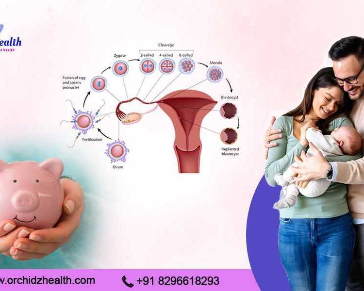 understanding-ivf-treatment-costs-in-bangalore-orchidz-health