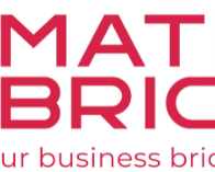 trusted-seo-audit-agency-in-mumbai-matrix-bricks-india