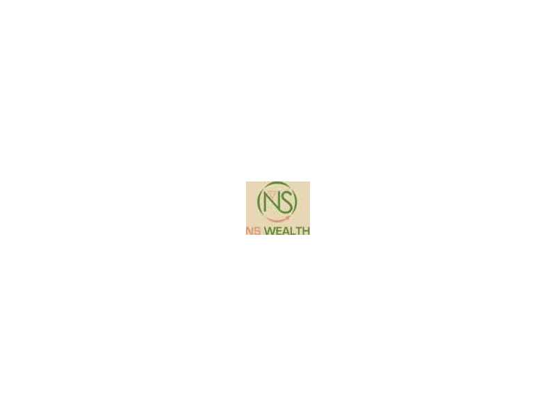 best-mutual-fund-advisor-delhi-smart-investment-planning-ns-wealth-small-0