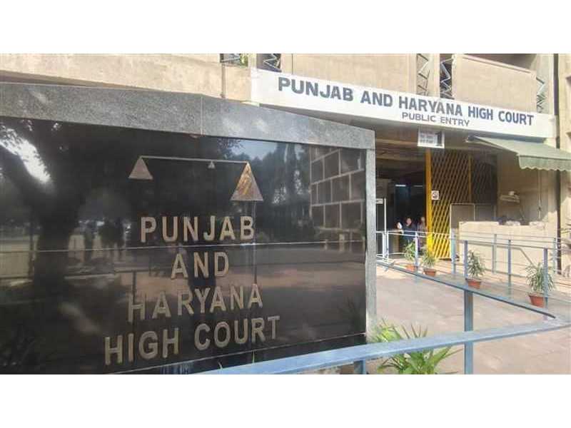 punjab-haryana-high-court-clerk-recruitment-2026-small-0