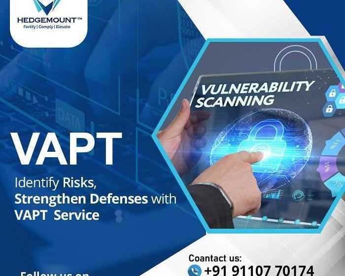 comprehensive-vapt-solutions-for-businesses-hedge-mount