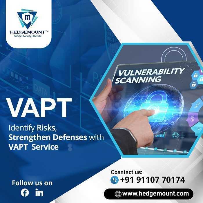 comprehensive-vapt-solutions-for-businesses-hedge-mount-big-0