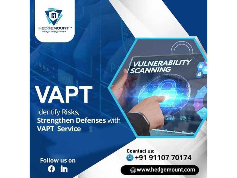 comprehensive-vapt-solutions-for-businesses-hedge-mount-small-0