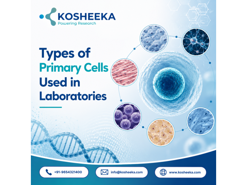 types-of-primary-cells-used-in-laboratories-small-0