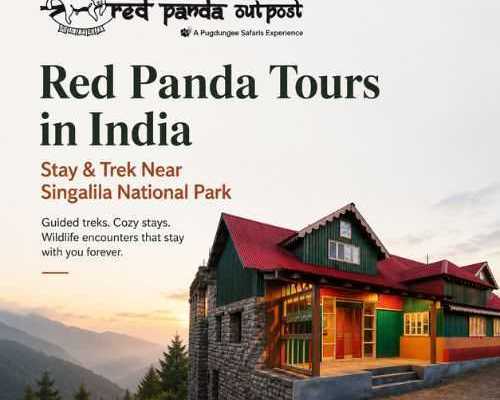 red-panda-tours-in-india-stay-trek-near-singalila-national-park