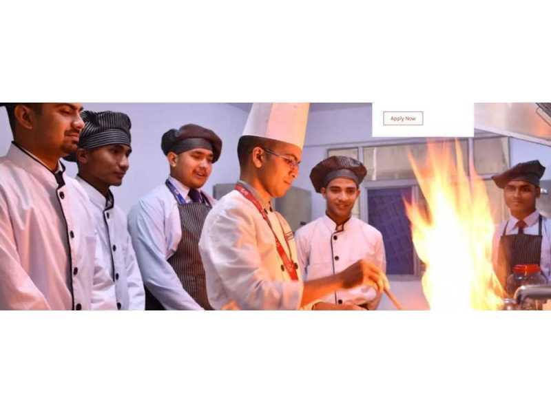 career-growth-through-hotel-management-colleges-in-dehradun-small-0