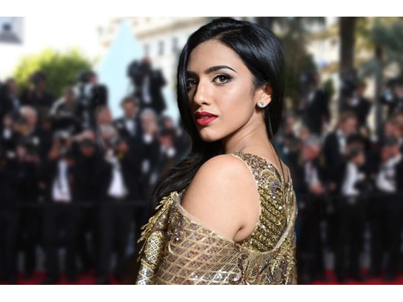 international-singer-raveena-mehta-raveenamusic-official-small-0