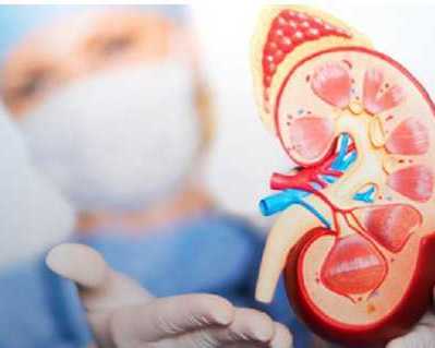 nephrology-hospital-in-gujarat