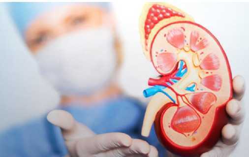 nephrology-hospital-in-gujarat-big-0
