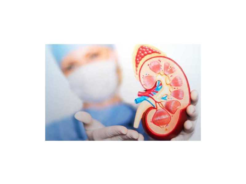nephrology-hospital-in-gujarat-small-0