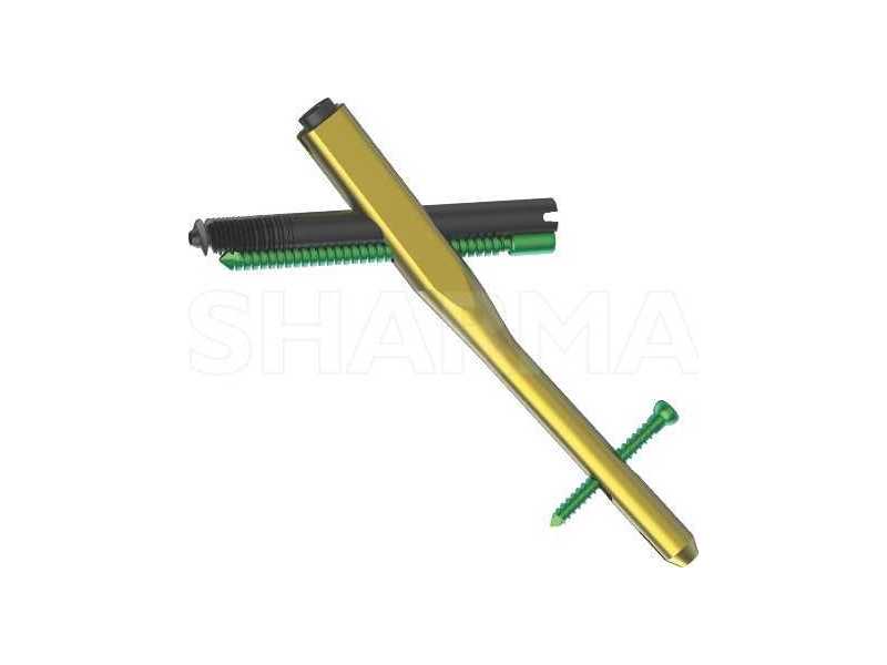 reliable-interlocking-nail-systems-for-strong-fracture-stabilization-small-0