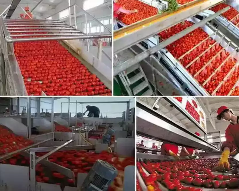 buy-tomato-ketchup-machine-india
