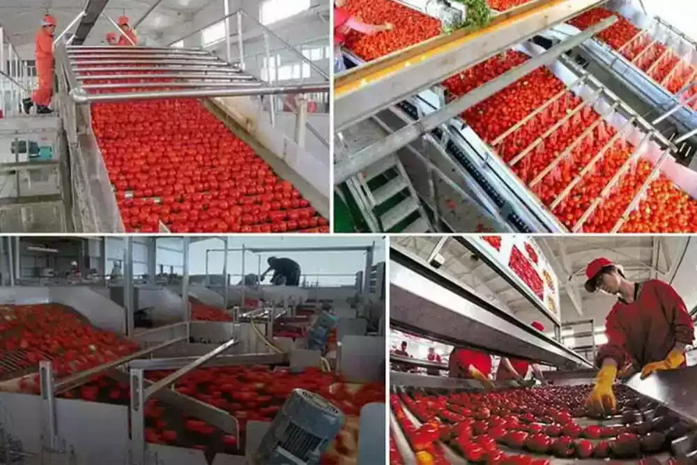 buy-tomato-ketchup-machine-india-big-0