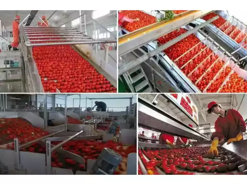 buy-tomato-ketchup-machine-india-small-0