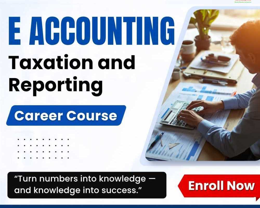 professional-e-accounting-and-taxation-career-course