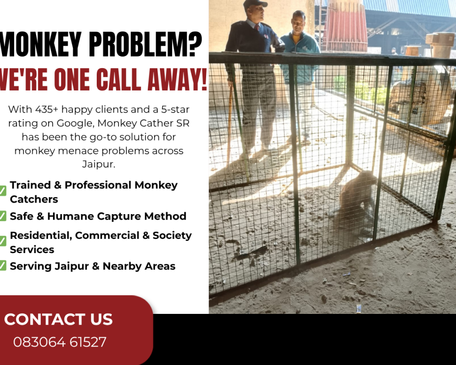 monkey-catcher-near-me-jis-ilake-mein-ho-wahi-pahunch-jaate-hain