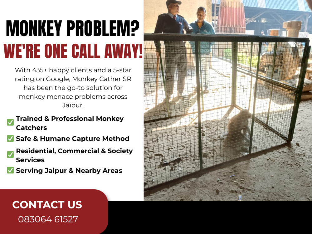 monkey-catcher-near-me-jis-ilake-mein-ho-wahi-pahunch-jaate-hain-big-0