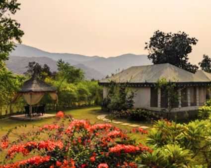 resort-in-sariska-that-lets-you-wake-up-to-nature-not-notifications