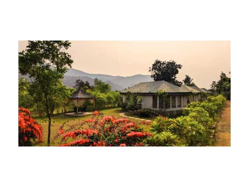 resort-in-sariska-that-lets-you-wake-up-to-nature-not-notifications-small-0