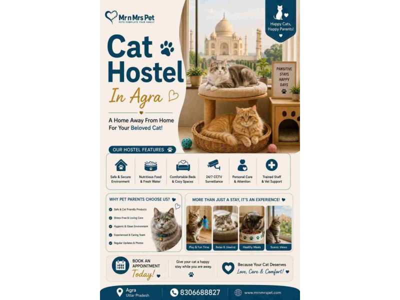 cat-hostel-in-agra-small-0