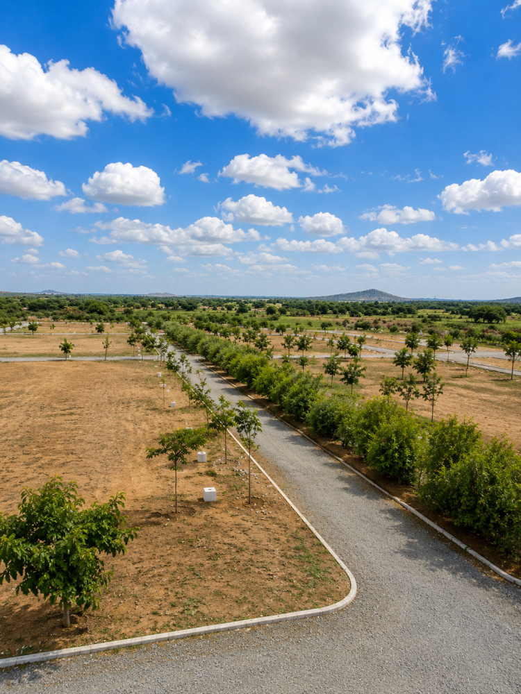 premium-villa-plots-in-palasamudram-magnolia-by-amirii-ventures-big-1