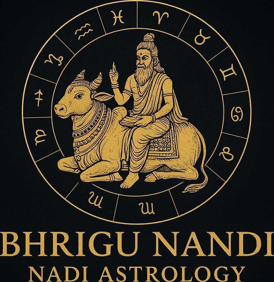 trusted-bhrigu-nandi-nadi-astrology-expert-big-0