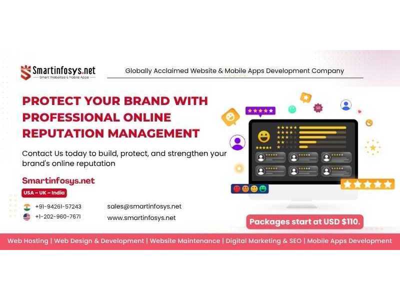 protect-your-brand-with-professional-online-reputation-management-small-0