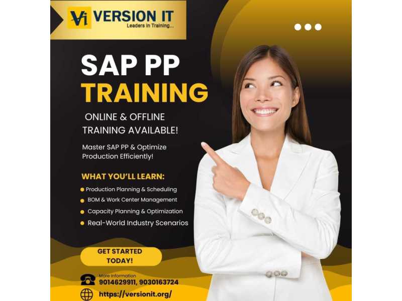 sap-pp-training-in-hyderabad-small-0