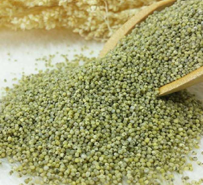 best-green-millet-bajra-exporter-in-india-big-0
