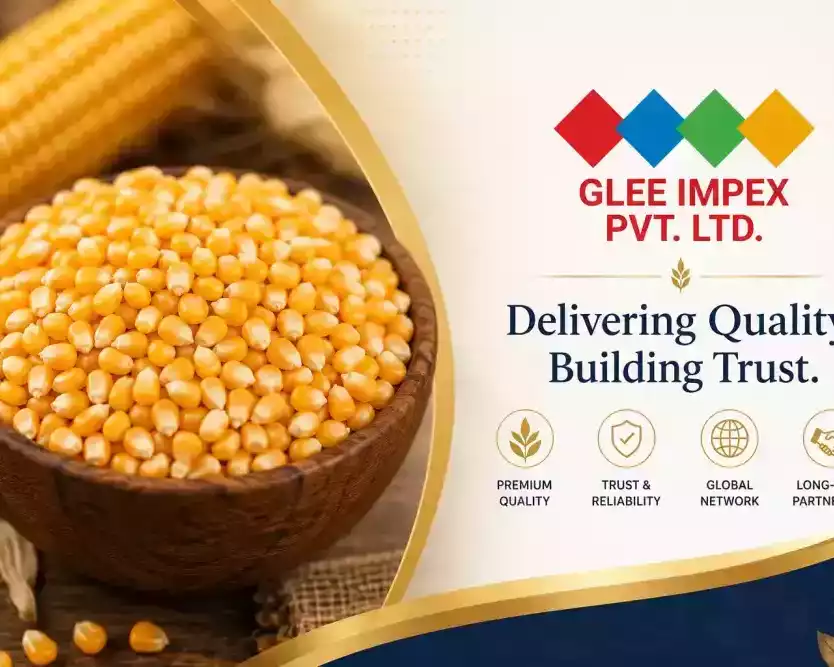 best-maize-corn-exporter-in-india