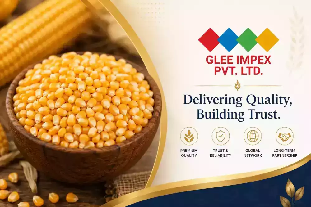 best-maize-corn-exporter-in-india-big-0