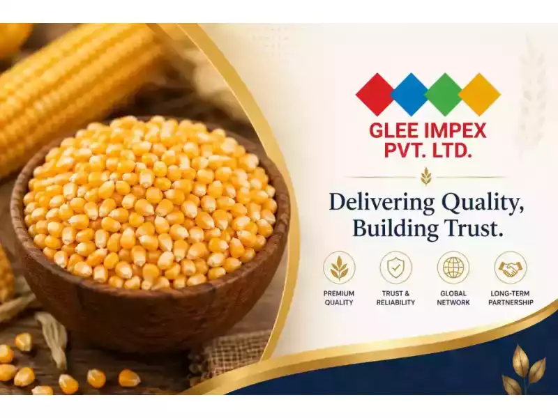 best-maize-corn-exporter-in-india-small-0
