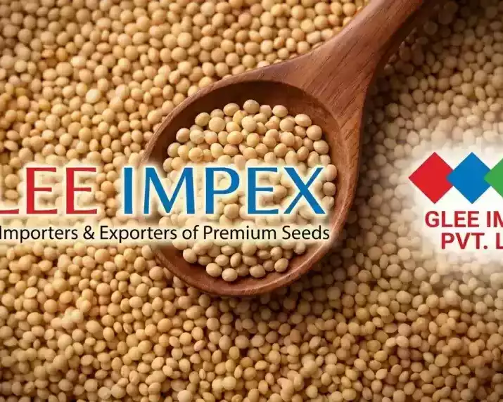 best-guar-seed-exporter-in-india