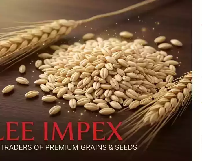 best-barley-jau-exporter-in-india