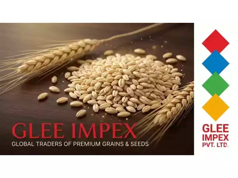 best-barley-jau-exporter-in-india-small-0