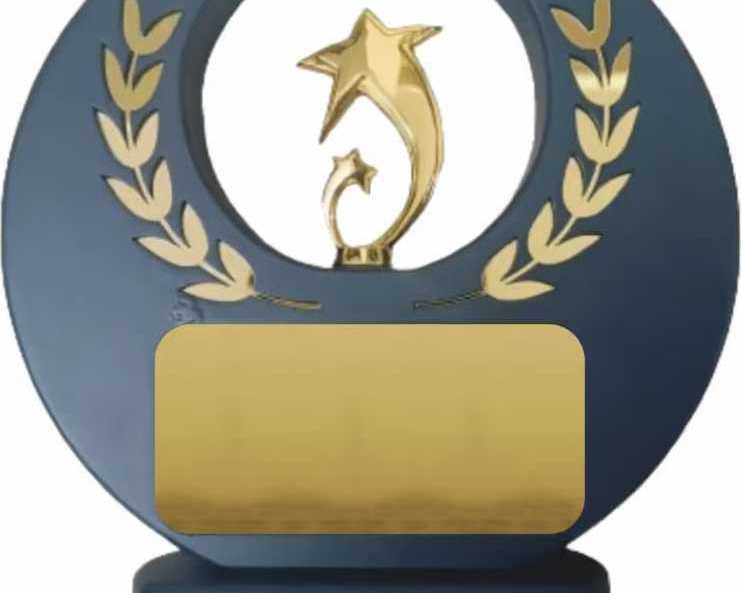 gold-star-achievement-award