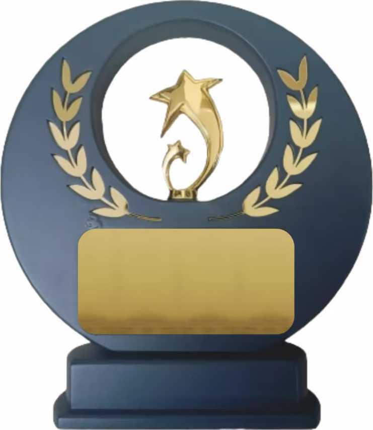 gold-star-achievement-award-big-0