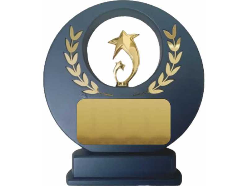 gold-star-achievement-award-small-0