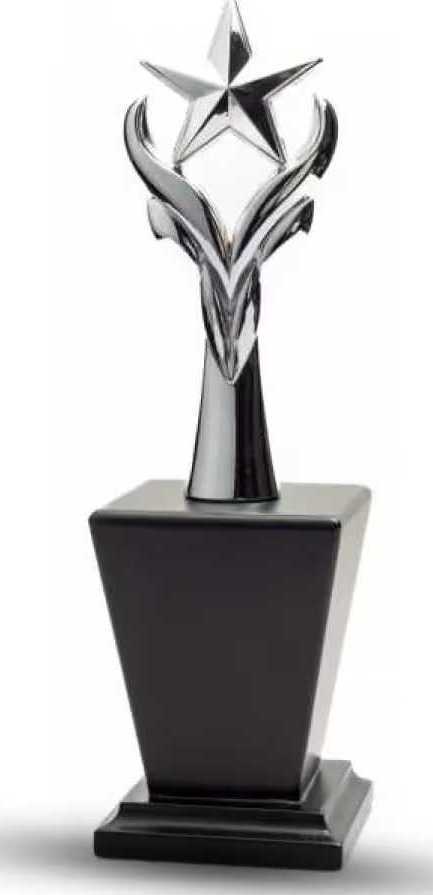 metal-star-trophies-big-0