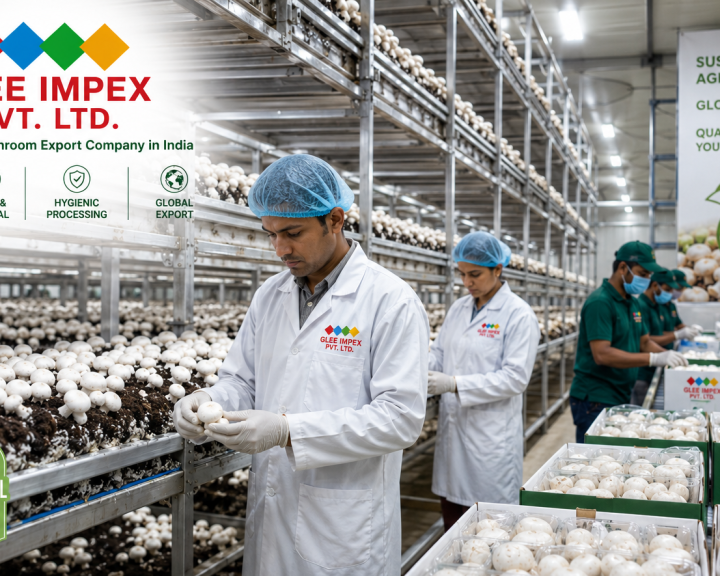 best-indian-mushroom-exporter