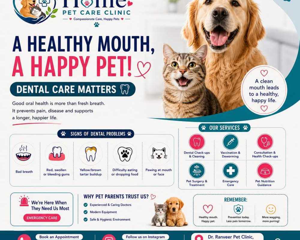 home-pet-care-clinic-lal-kothi-jaipur