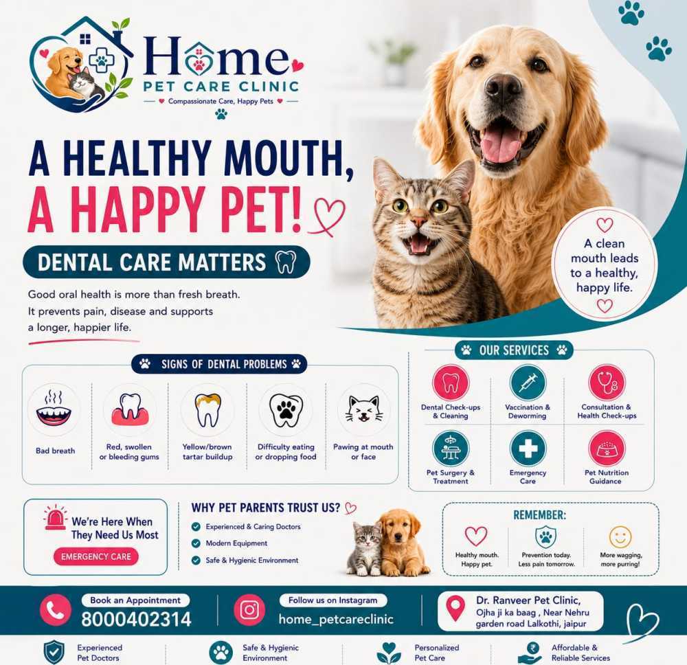 home-pet-care-clinic-lal-kothi-jaipur-big-0