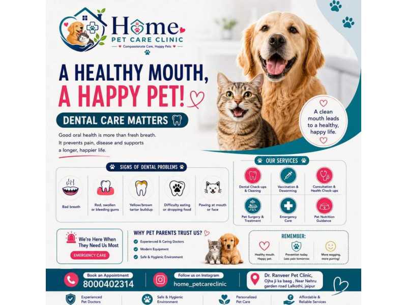 home-pet-care-clinic-lal-kothi-jaipur-small-0