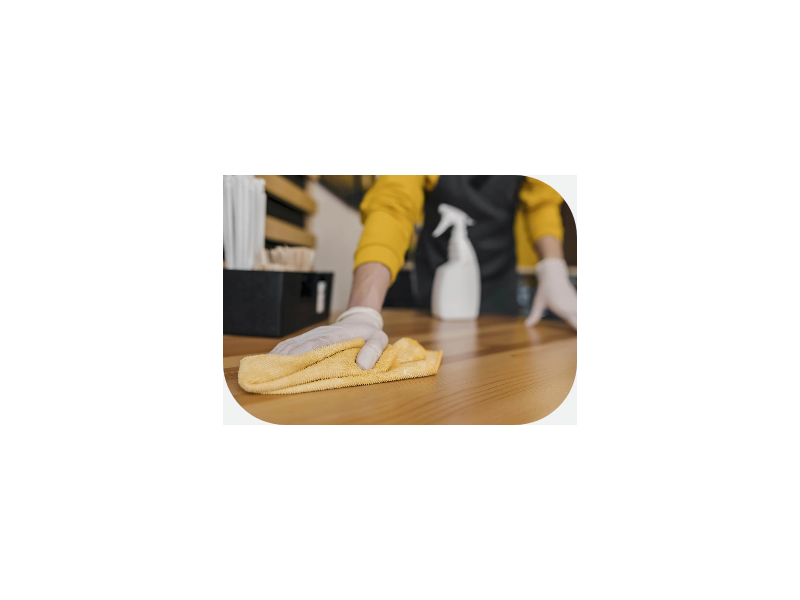 home-sanitization-services-for-a-safe-clean-hygienic-living-environment-small-0