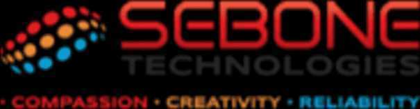 expert-technical-consultant-services-for-businesses-sebone-technologies-big-0
