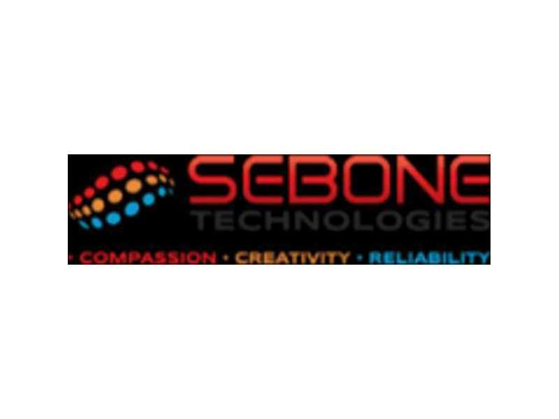 expert-technical-consultant-services-for-businesses-sebone-technologies-small-0