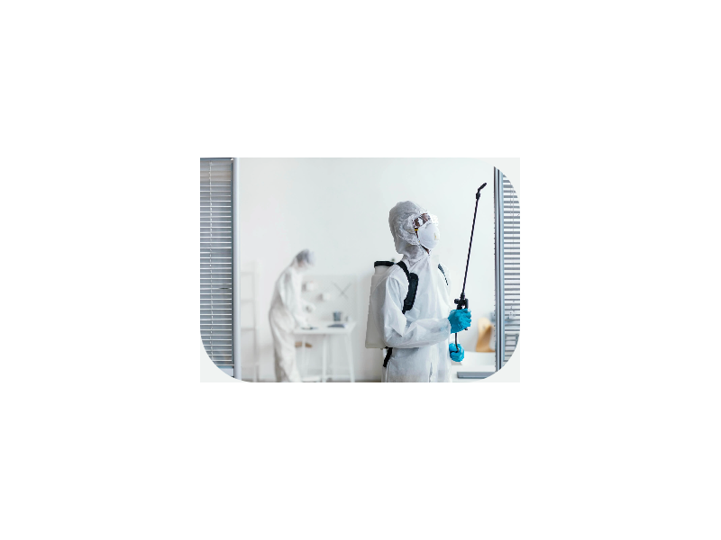 services-in-mumbai-for-effective-pest-control-and-complete-protection-small-0
