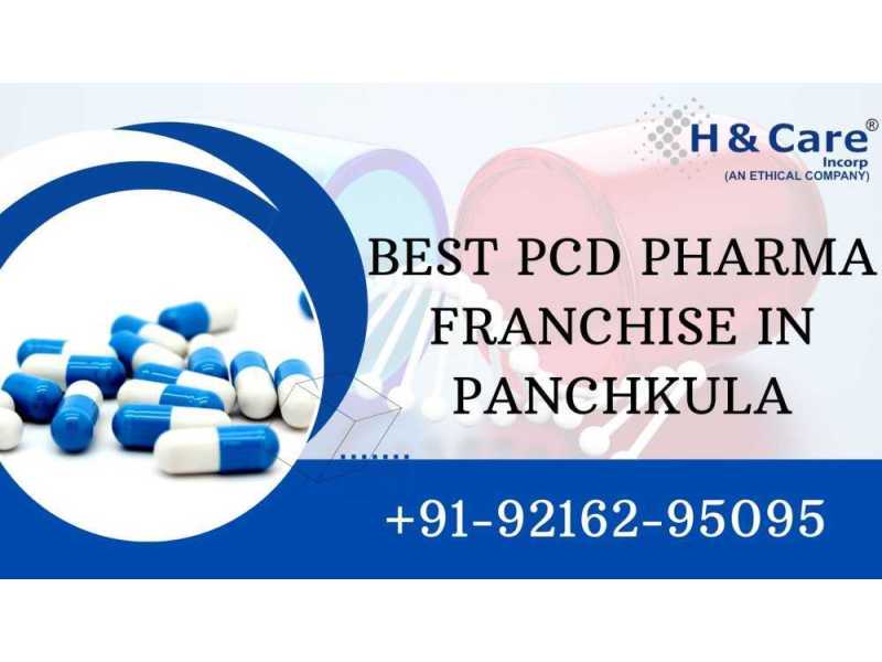 top-5-best-pcd-pharma-company-in-mumbai-small-0